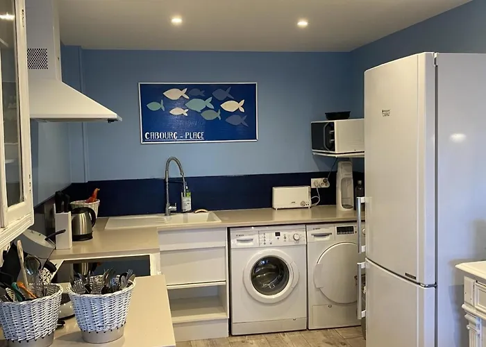 Grand Duplex En Front De Avec 3 Chambres, Animaux Acceptes, Equipements Complets, - Fr-1-487-321 Cabourg